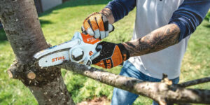 Top Tree Pruning Tools Every Homeowner Should Know About