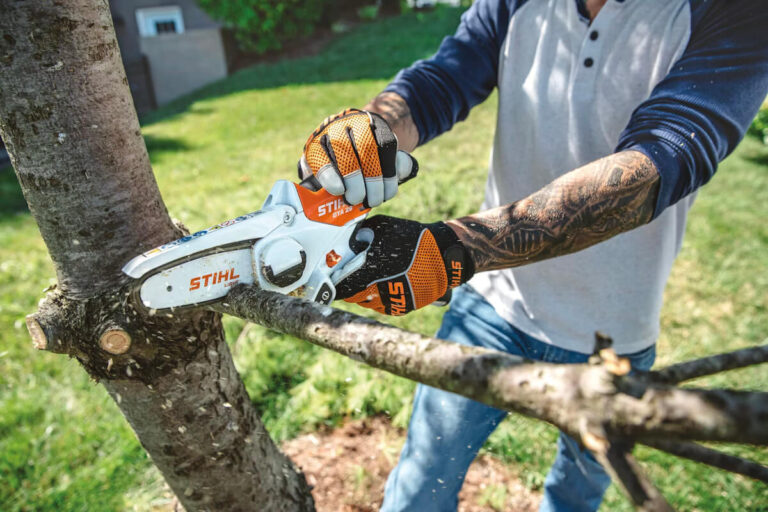 Tree Pruning Tools