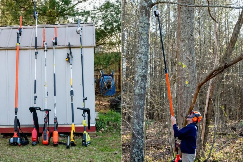 Tree Pruning Tools