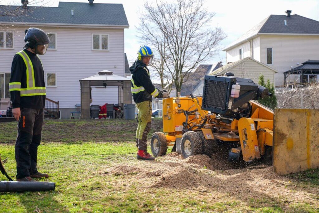 Stump Grinding