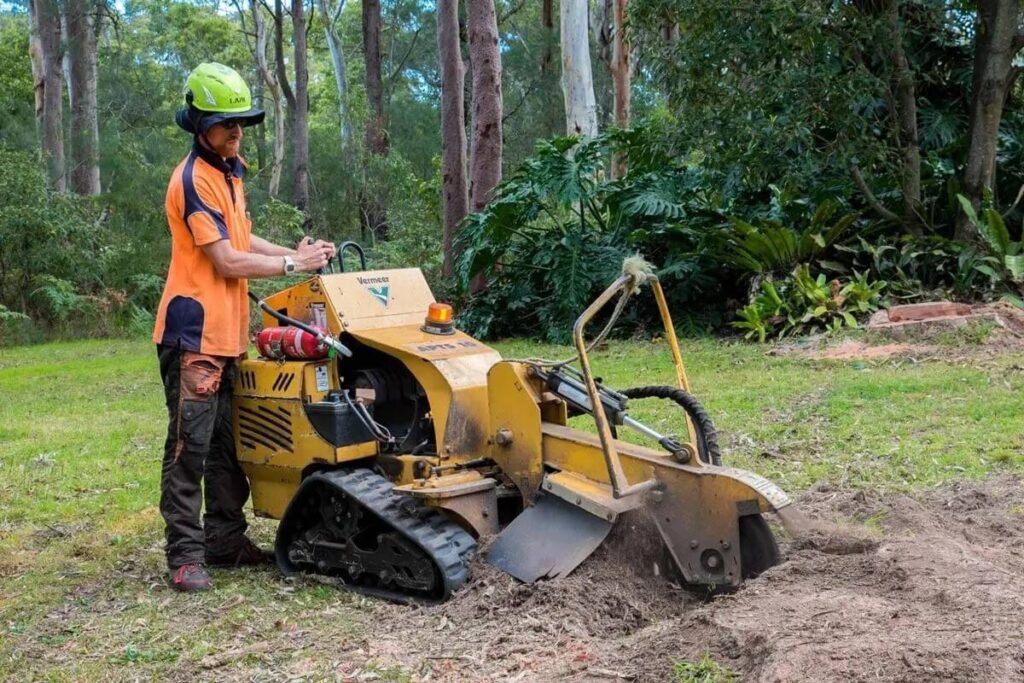 Stump Grinding