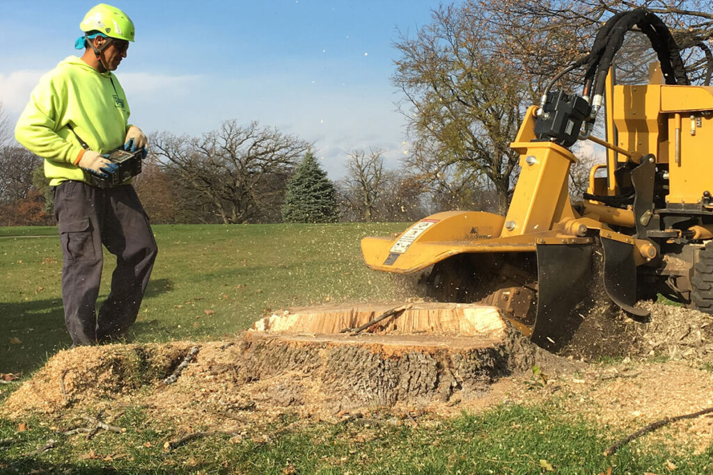 Stump Grinding