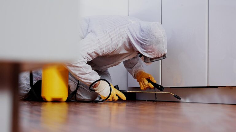 Affordable Residential Pest Control in Sydney That Works