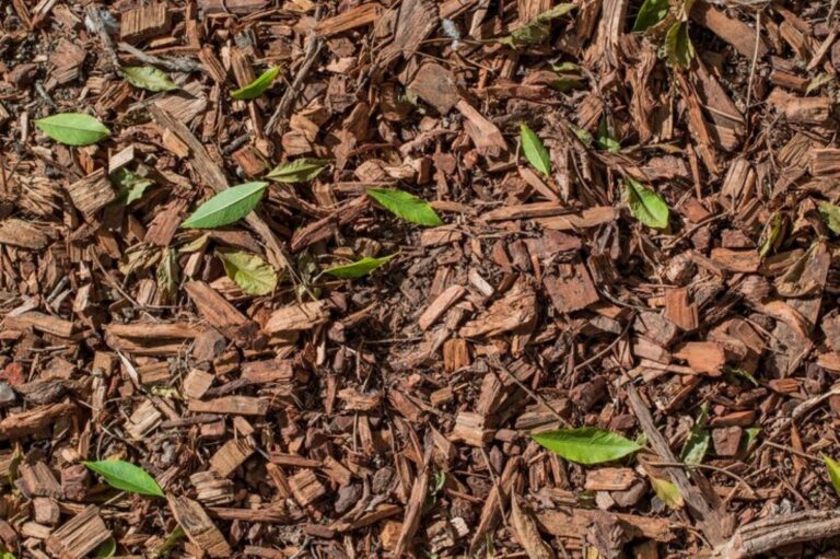 wood chips for garden