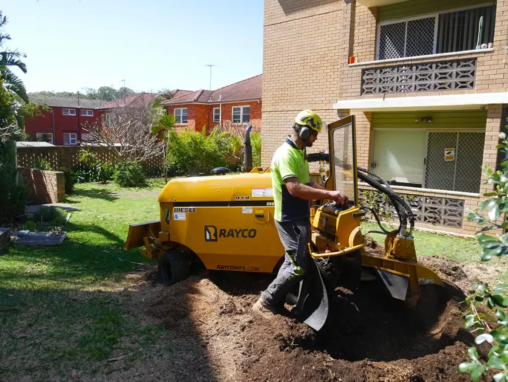 How Tree Lopping Shapes the Sydney Cityscape and Social Memory