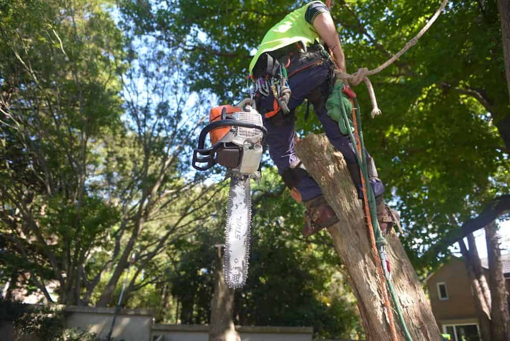 Reliable Tree Service